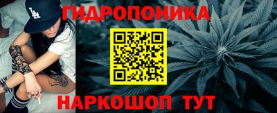 гидра Заволжье