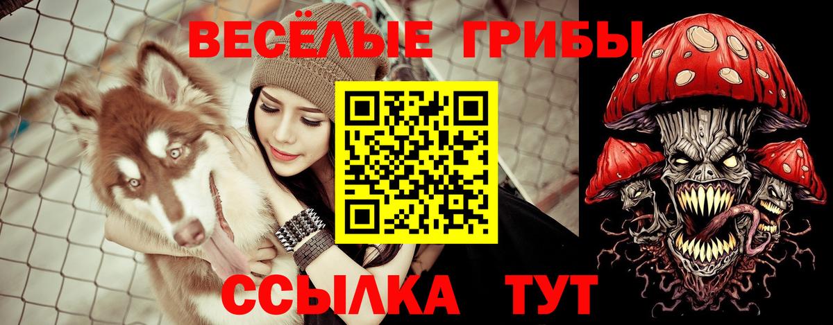 Кетамин Звенигород